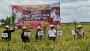 Asisten Bidang Perekonomian dan Pembangunan Hadiri Panen Raya Nusantara di Kelompok tani Adem Ayem Lampung Tengah