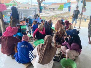 Akibat Perubahan Cuaca, Kualitas Ikan Asin Di Pulau Pasaran Menurun