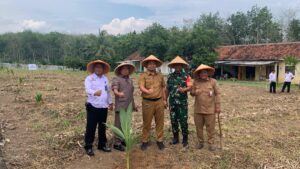 Dukung Ketahanan Pangan, Lapas Way Kanan Lakukan Penanaman Pohon Kelapa