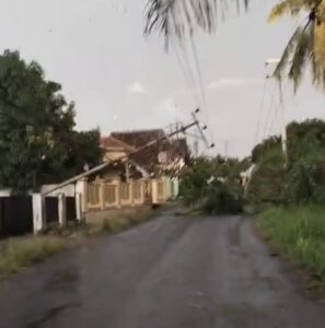 Nahas! Pohon Tumbang Akibat Hujan Angin Menimpa Tiang Listrik hingga Roboh” 