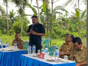 Bangkitkan Kejayaan Kakao, Pemkab Pesawaran Gelar Tanam Perdana Bersama Petani