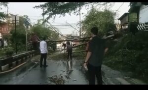 Pohon Tumbang Tutup Akses Jalan, Rumah Warga Di Kotabumi Rusak Berat