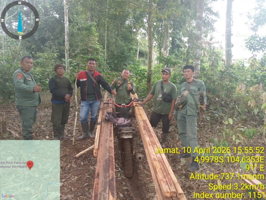 Kades Tanjung Beringin Diduga Dalangi Ilegal Logging di Hutan Kawasan Tangkit Tebak Tanjung Raja Lampung Utara