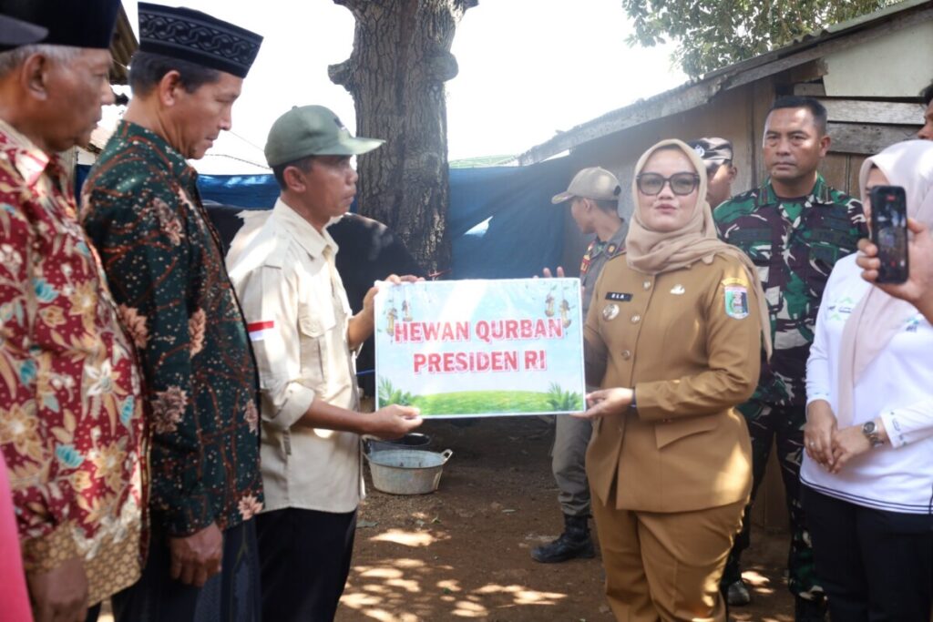 Sapi Kurban Presiden Prabowo Tiba di Lampung Timur, Warga Sekampung Udik Antusias Sambut Idul Adha
